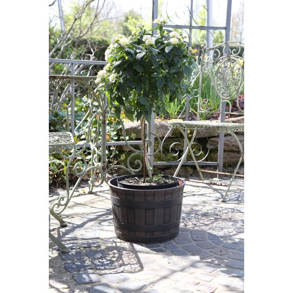 Jinfa 6er-Set Miniteich Pflanzkübel aus Kunststoff in Weinfassoptik bottich Blumenkübel | Farbe: Kastanie | Design: Barrique | Ø 36 cm