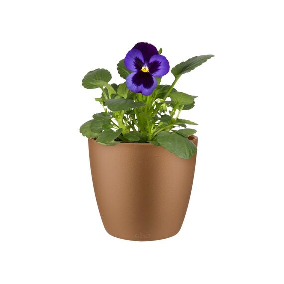 Elho Brussels Rund Mini 10,5 - Blumentopf - Samt Gold - Drinnen - Ø 11 x H 9.7 cm