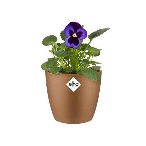 Elho Brussels Rund Mini 10,5 - Blumentopf - Samt Gold - Drinnen - Ø 11 x H 9.7 cm