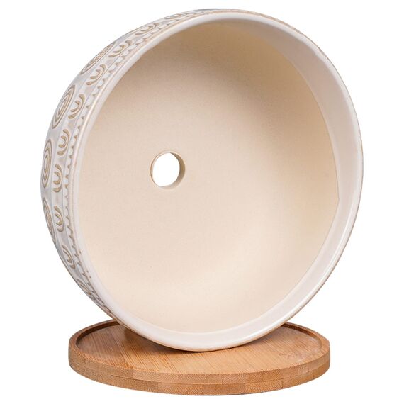 Eightpot Sukkulenten-Übertopf aus Keramik, 20,3 cm, mit Ablaufloch und Untersetzer, rund, flach, für Zimmerpflanzen, weiß