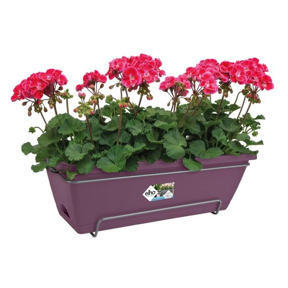 elho Barcelona Allin1 50 Übertopf für Balkon & Außen - 100% recyceltem Plastik - Ø 49.5 x H 18.5 cm - Lila/Ahorn Lila