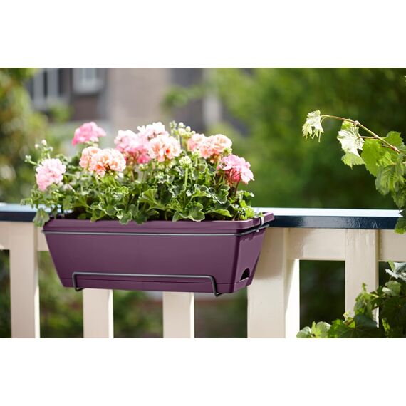 elho Barcelona Allin1 50 Übertopf für Balkon & Außen - 100% recyceltem Plastik - Ø 49.5 x H 18.5 cm - Lila/Ahorn Lila