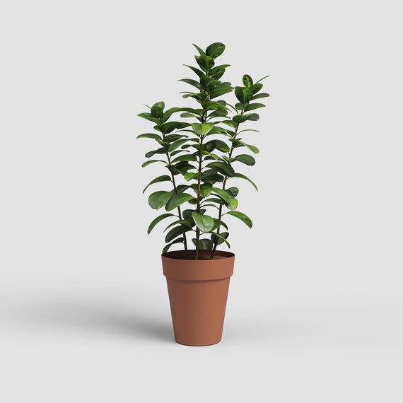 Artevasi Capri-Topf High, Hoher runder Kunststofftopf, 56cm, Farbe: Terrakotta