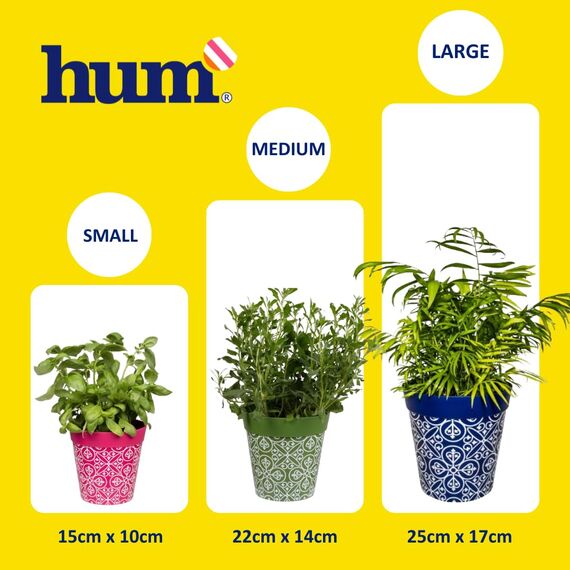 Hum Flowerpots, 15 cm Set mit 3 verschiedenen Mustern, Farben und Größen, Kunststoff-Pflanztöpfe, für Innen- und Außenbereich, Blaue Blätter