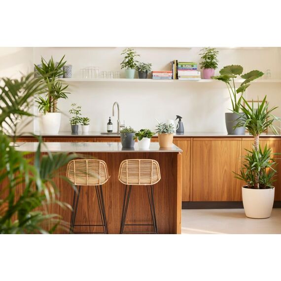 elho Brussels Rund Mini 10.5 - Blumentopf für Innen - Ø 11.0 x H 9.7 cm - Schwarz/Anthracite