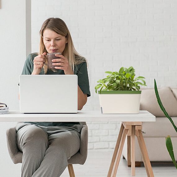 T4U 27cm Selbstwässernder Blumenkasten Kräutertopf mit ERD-Bewässerungs-System Grün 3er-Set Kunststoff Blumentopf Pflanzgefäß Rechteck für Küche Balkon Fensterbank