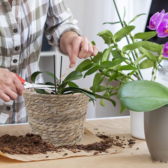 JNRFTY 3er Set Pflanzkorb Blumenkorb Geflochten,altbarer Seegras-Korb,Handgewebter Übertöpfe Blumentopf Pflanzkorb