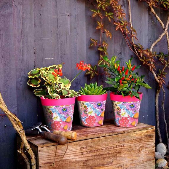 Hum Flowerpots, 15 cm Set mit 3 Stück, Kunststoff-Pflanztöpfe für Drinnen und Draußen, rosa Blumen und Biene