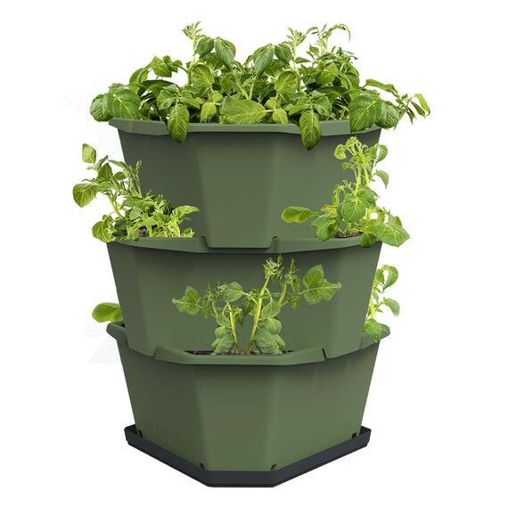 GUSTA GARDEN Paul Potato Kartoffelturm 3 Etagen Dunkelgrün - Hochbeet Turm Kartoffeln - Garten & Balkon - Schädlingsschutz - 0,2m² - 56L Erdvolumen