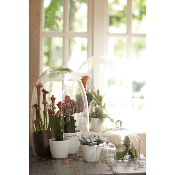 Elho Brussels Rund Mini 10,5 - Blumentopf - Samt Gold - Drinnen - Ø 11 x H 9.7 cm