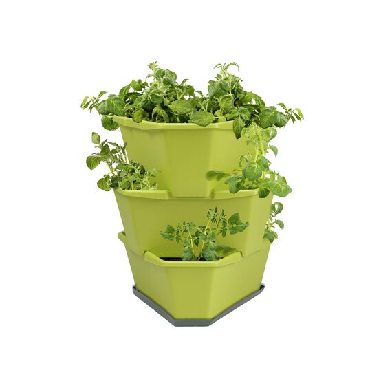 GUSTA GARDEN Paul Potato Starter Kartoffelturm - stapelbar - Hochbeet/Pflanzgefäß/Blumentopf für Balkon, Garten und Terrasse (3 Etagen, Grün) inkl. Untersetzer