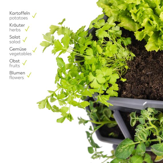 GUSTA GARDEN Paul Potato Starter Kartoffelturm - stapelbar - Hochbeet/Pflanzgefäß/Blumentopf für Balkon, Garten und Terrasse (3 Etagen, Grün) inkl. Untersetzer