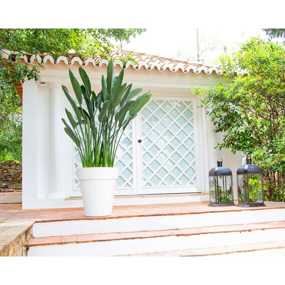 Artevasi Capri-Topf High, Hoher runder Kunststofftopf, 56cm, Farbe: Terrakotta