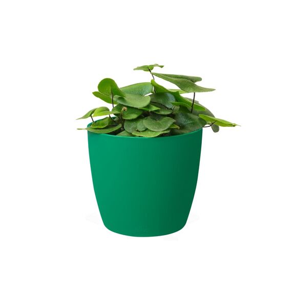 Elho Brussels Rund Mini 9,5 - Blumentopf - Lucky Green - Drinnen - Ø 10.2 x H 8.7 cm