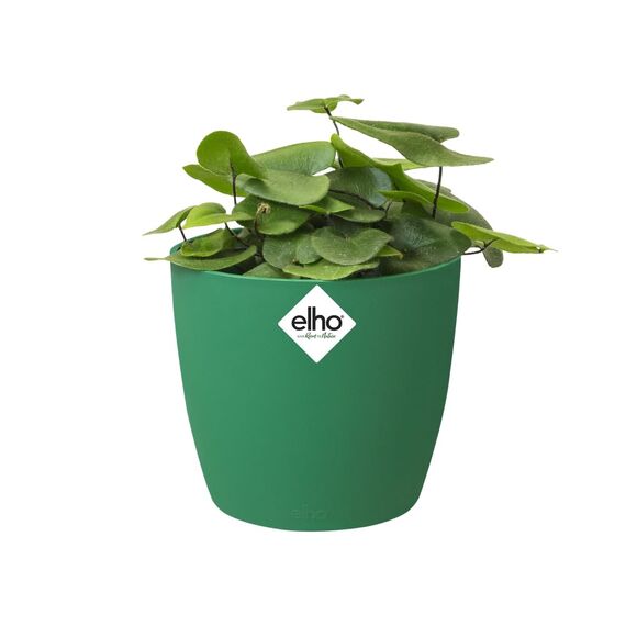 Elho Brussels Rund Mini 12,5 - Blumentopf - Lucky Green - Drinnen - Ø 13 x H 11.4 cm