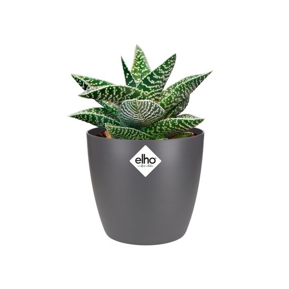 elho Brussels Rund Mini 9.5 - Blumentopf für Innen - Ø 10.0 x H 8.9 cm - Schwarz/Anthracite