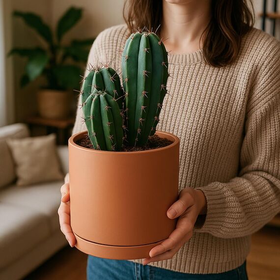 D'vine Dev Terrakotta-Töpfe für Pflanzen, 13 cm, 16,5 cm, 21,6 cm, runder Zylinder-Pflanztopf mit Drainage und Untersetzer, 40-T-B-0