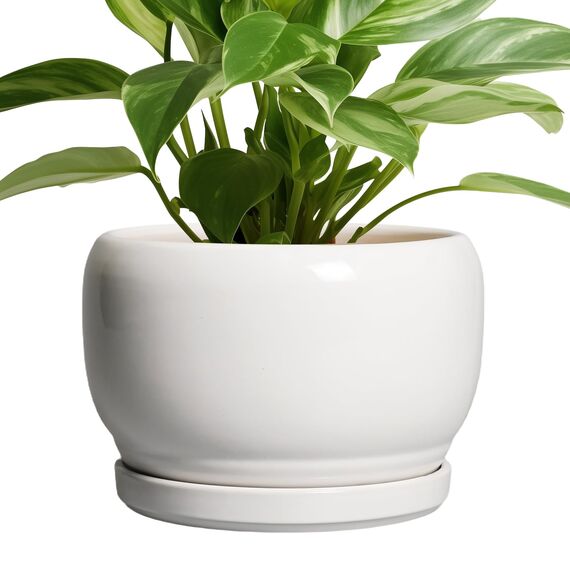 SQOWL Keramik-Pflanzgefäße für Zimmerpflanzen, 20,3 cm, runder Blumentopf für den Außenbereich, mit Ablaufloch und Untersetzer, dekorativer moderner Übertopf, Küchendekoration, Hausgeschenke, Weiß
