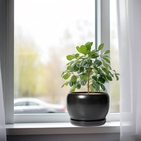 SQOWL Keramik-Pflanztöpfe – 20,3 cm Pflanzgefäß für den Innenbereich, runder Blumentopf mit Ablaufloch und Untersetzer, moderner Outdoor-Pflanzgefäß, Wohnungsdekoration, Geschenke für