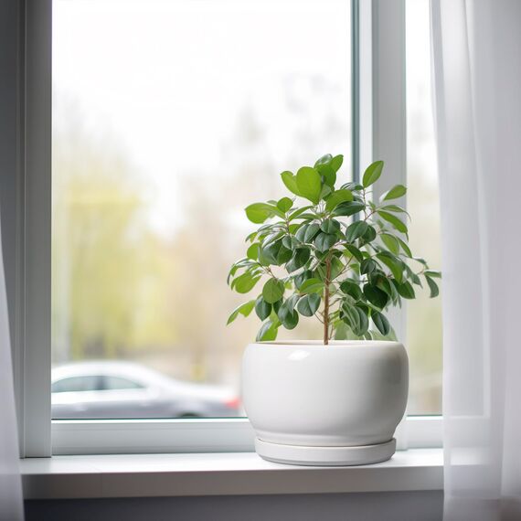 SQOWL Keramik-Pflanzgefäße für Zimmerpflanzen, 20,3 cm, runder Blumentopf für den Außenbereich, mit Ablaufloch und Untersetzer, dekorativer moderner Übertopf, Küchendekoration, Hausgeschenke, Weiß