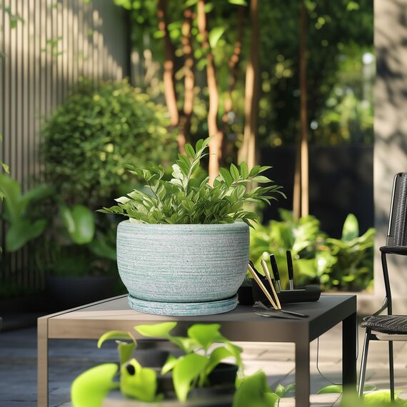 SQOWL 25,4 cm Pflanzkübel – Keramik-Übertopf mit Ablaufloch und Untersetzer, dekorativer Blumentopf für Innen- und Außenbereich, runder Übertopf, gebürstetes Grün