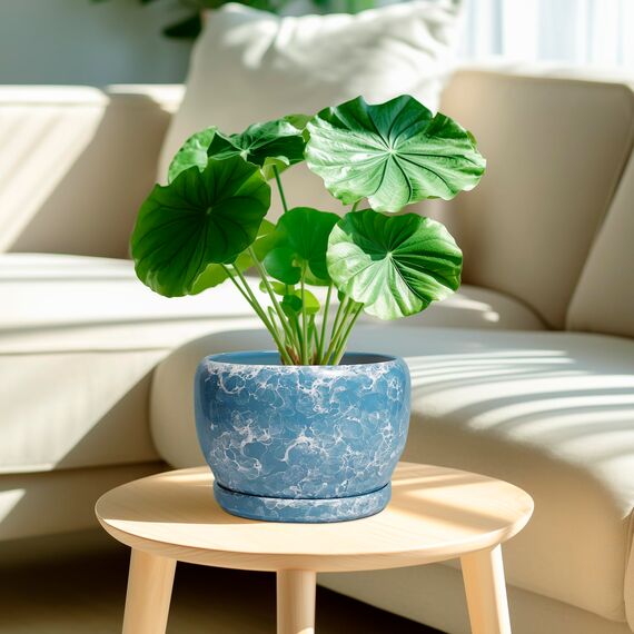 SQOWL Keramiktöpfe für Pflanzen – 20,3 cm Keramik-Pflanzgefäß für drinnen und draußen, dekorativer Blumentopf mit Ablaufloch und Untersetzer, runder Pflanzgefäß, Heim-Wohnzimmer, Badezimmer-Dekor