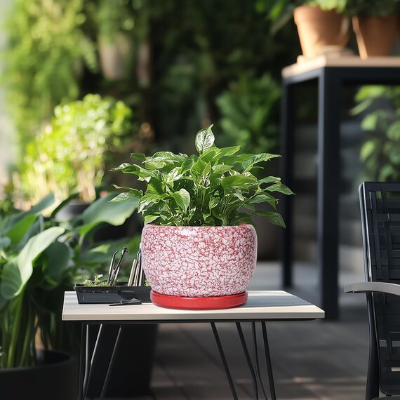 SQOWL Keramiktöpfe für Pflanzen – 20,3 cm großer Indoor-Pflanztopf mit Ablaufloch und Tablett, Keramik-Blumentopf für den Außenbereich, runder dekorativer Übertopf, Schlafzimmerdekoration, Geschenke