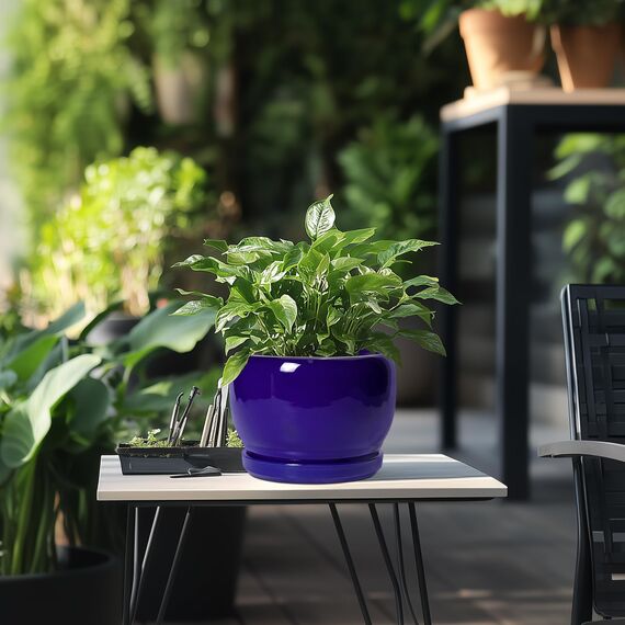SQOWL Blumentopf aus Keramik, 20,3 cm, für Zimmerpflanzen, Outdoor, Keramik-Blumentopf mit Ablaufloch und Untersetzer, moderner runder Übertopf, Badezimmer-Dekor, Geschenke für Pflanzenliebhaber, Blau