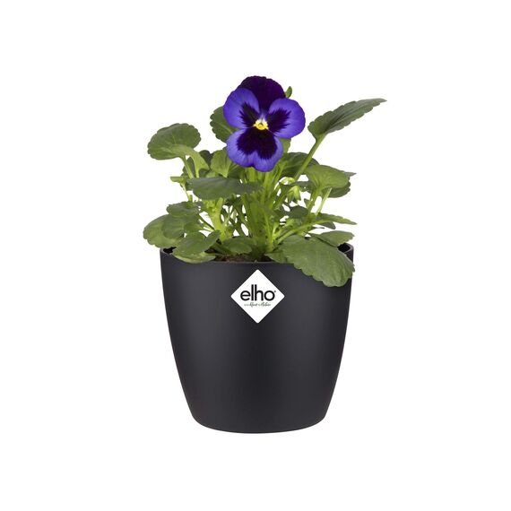 Elho Brussels Rund Mini 10,5 - Blumentopf - Lebhaft Schwarz - Drinnen - Ø 11 x H 9.7 cm