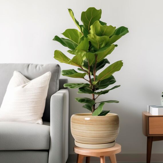 SQOWL Keramik-Blumentopf, 25,4 cm, großer Übertopf mit Ablaufloch und Untersetzer, runder moderner Übertopf für Zimmerpflanze, Outdoor, dekorativer Keramik-Blumentopf, Veranda-Dekor, Gartengeschenk