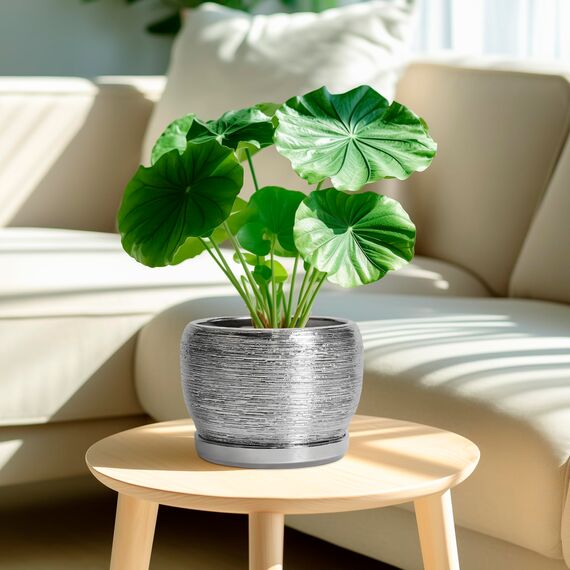 SQOWL Keramiktopf für Pflanzen – 20,3 cm Übertopf mit Ablaufloch und Untersetzer, runder Übertopf für drinnen und draußen, moderner dekorativer Blumentopf, Hausdekoration, Geschenke für