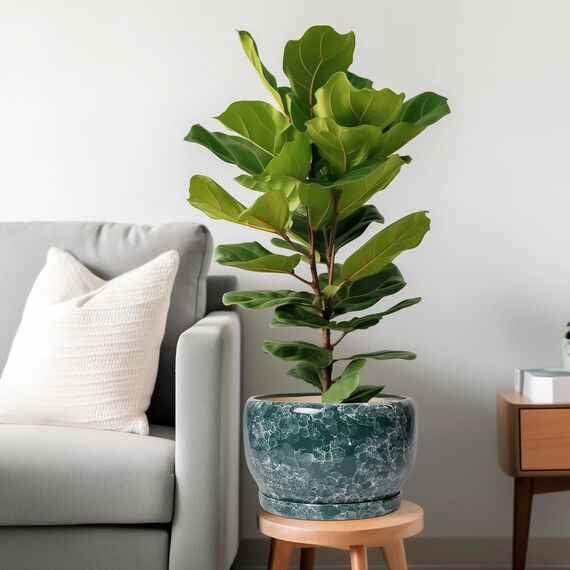 SQOWL 25,4 cm Pflanztopf – Keramik-Übertopf für Zimmerpflanzen im Freien, großer Keramik-Blumentopf mit Ablaufloch und Untersetzer, dekorativer runder Übertopf, Wohnzimmerdekoration, Geschenke für