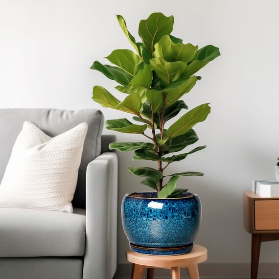 SQOWL 25,4 cm Pflanztopf – Keramik Pflanztopf mit Drainageloch und Untersetzer, dekorativer Pflanztopf für Innen- und Außenbereich, runder großer Übertopf Blumentopf, Blau