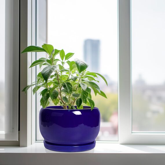 SQOWL Keramik-Blumentopf, 25,4 cm, Keramik-Übertopf für drinnen und draußen, runder Blumentopf mit Ablaufloch und Untersetzer, moderner dekorativer großer Pflanzgefäß, Gartendekoration