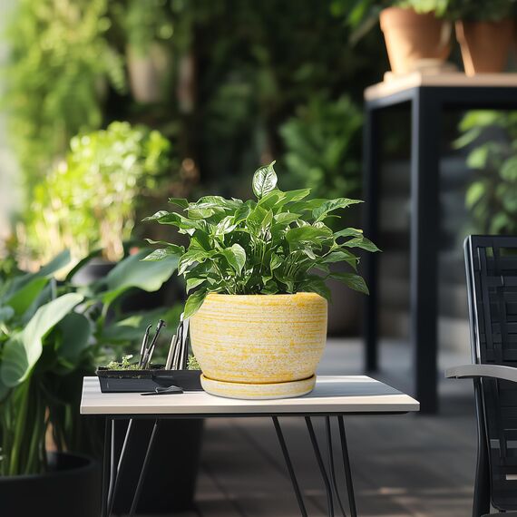 SQOWL Keramik-Blumentöpfe – 20,3 cm Pflanztopf für den Innenbereich mit Ablaufloch und Untersetzer, moderner Keramik-Pflanzgefäß für den Außenbereich, runder dekorativer Übertopf, Wohnzimmer