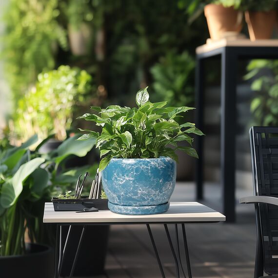 SQOWL Keramiktöpfe für Pflanzen – 20,3 cm Keramik-Pflanzgefäß für drinnen und draußen, dekorativer Blumentopf mit Ablaufloch und Untersetzer, runder Pflanzgefäß, Heim-Wohnzimmer, Badezimmer-Dekor