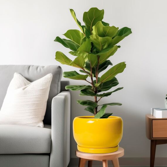 SQOWL 25,4 cm Pflanztopf – Keramik-Pflanzgefäß mit Ablaufloch und Untersetzer, moderner großer Blumentopf für Innen- und Außenbereich, dekorativer runder Übertopf, Heimdekoration, Geschenke für