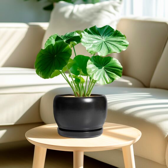 SQOWL Keramik-Pflanztöpfe – 20,3 cm Pflanzgefäß für den Innenbereich, runder Blumentopf mit Ablaufloch und Untersetzer, moderner Outdoor-Pflanzgefäß, Wohnungsdekoration, Geschenke für