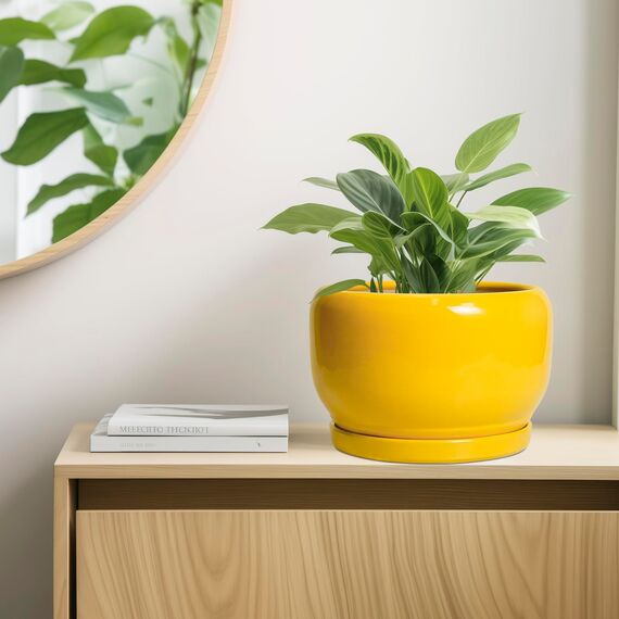 SQOWL 25,4 cm Pflanztopf – Keramik-Pflanzgefäß mit Ablaufloch und Untersetzer, moderner großer Blumentopf für Innen- und Außenbereich, dekorativer runder Übertopf, Heimdekoration, Geschenke für