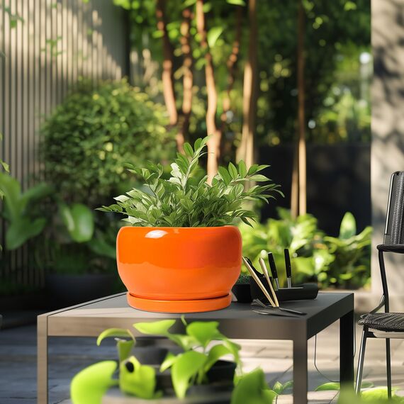 SQOWL Keramik-Pflanzgefäß - 25,4 cm Pflanztopf mit Ablaufloch und Untersetzer, runder moderner Übertopf für Innen- und Außenbereich, dekorativer großer Blumentopf, Hausdekoration, Geschenke für Frauen