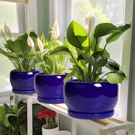 SQOWL Keramik-Blumentopf, 25,4 cm, Keramik-Übertopf für drinnen und draußen, runder Blumentopf mit Ablaufloch und Untersetzer, moderner dekorativer großer Pflanzgefäß, Gartendekoration