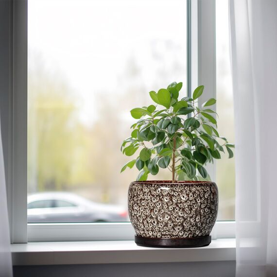 SQOWL Keramik-Pflanzgefäß – 20,3 cm Pflanztopf für den Innenbereich mit Ablaufloch und Untersetzer, runde Keramik-Blumentöpfe für den Außenbereich, dekorativer moderner Übertopf, Büro-Küchendekoration