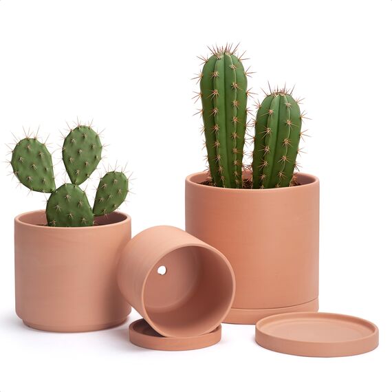 D'vine Dev Terrakotta-Töpfe für Pflanzen, 16,5 cm, 21,6 cm, 25,4 cm, runder Zylinder-Pflanztopf mit Drainage und Untersetzer, 40-T-C-0