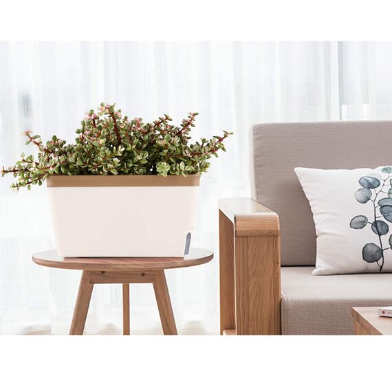 T4U 27cm Selbstwässernder Blumenkasten Kräutertopf mit ERD-Bewässerungs-System Braun 3er-Set Kunststoff Blumentopf Pflanzgefäß Rechteck für Küche Balkon Fensterbank
