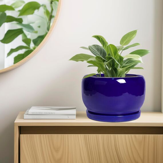 SQOWL Keramik-Blumentopf, 25,4 cm, Keramik-Übertopf für drinnen und draußen, runder Blumentopf mit Ablaufloch und Untersetzer, moderner dekorativer großer Pflanzgefäß, Gartendekoration