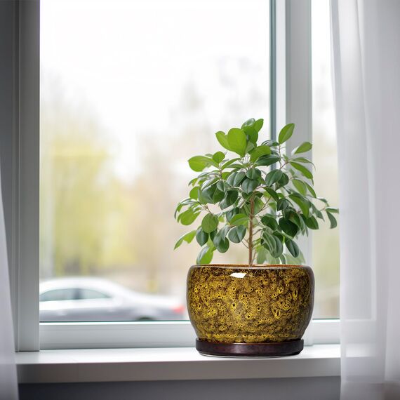 SQOWL Keramik-Blumentöpfe – 20,3 cm Keramik-Übertopf für Zimmerpflanzen, dekorative Blumentöpfe mit Ablaufloch und Untersetzer, runder Übertopf für den Außenbereich, Veranda, Hinterhof-Dekoration