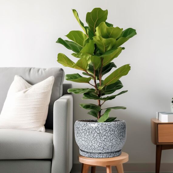 SQOWL Keramik-Pflanzgefäße – 25,4 cm Keramik-Blumentopf mit Ablaufloch und Untersetzer, dekorativer Blumentopf für den Innenbereich, runder großer Übertopf für den Außenbereich, Badezimmer-Dekor