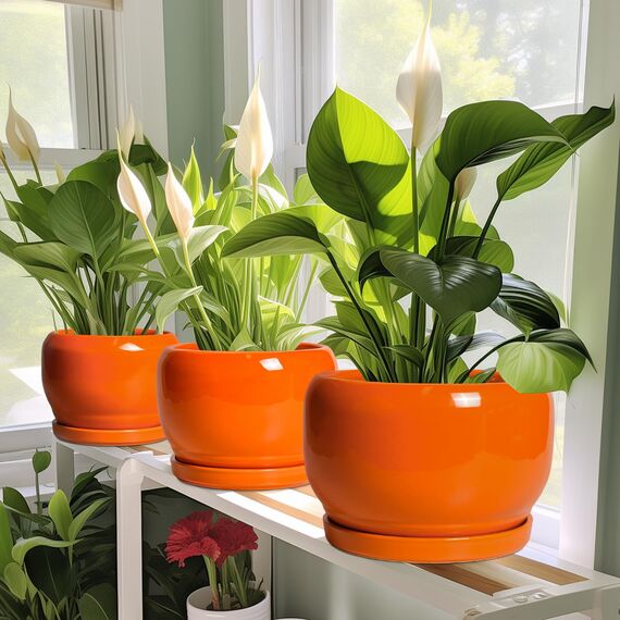 SQOWL Keramik-Pflanzgefäß - 25,4 cm Pflanztopf mit Ablaufloch und Untersetzer, runder moderner Übertopf für Innen- und Außenbereich, dekorativer großer Blumentopf, Hausdekoration, Geschenke für Frauen