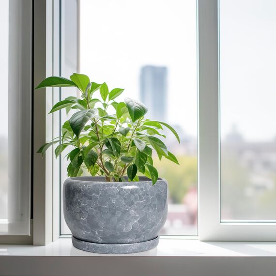 SQOWL Keramiktopf für Pflanzen – 25,4 cm Pflanztopf für den Innenbereich mit Ablaufloch und Untersetzer, runder Keramik-Pflanzgefäß, dekorativer großer Blumentopf für den Außenbereich, Heimbüro