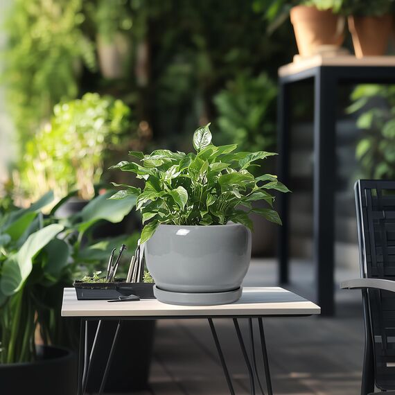 SQOWL Keramiktopf für Pflanzen – 20,3 cm Pflanztopf für den Innenbereich mit Ablaufloch und Untersetzer, runder Übertopf für den Außenbereich, dekorativer moderner Übertopf für Blume